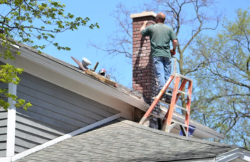 Chimney & Fireplace Inspections Services in Algonquin, IL